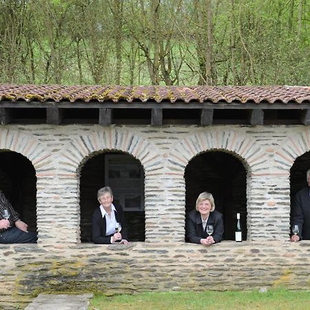 Gaestehaus Wein Im Turm Longuich Εξωτερικό φωτογραφία